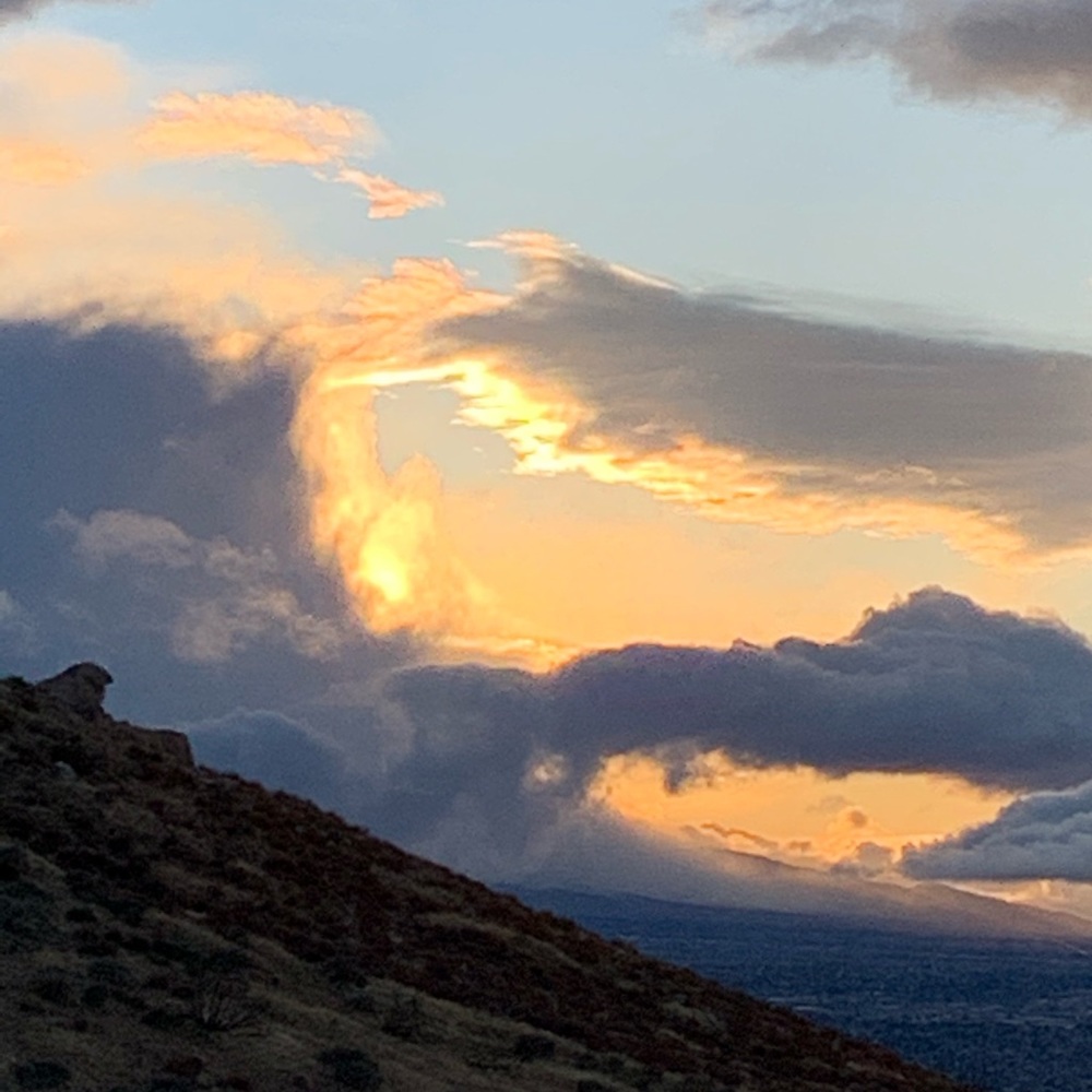 Meet your Posher, Ryleigh